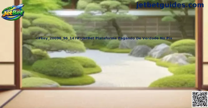 JetBet Plataforma Pagando De Verdade No Pix e informações sobre pagamentos digitais